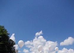 Умань – культурна столиця України